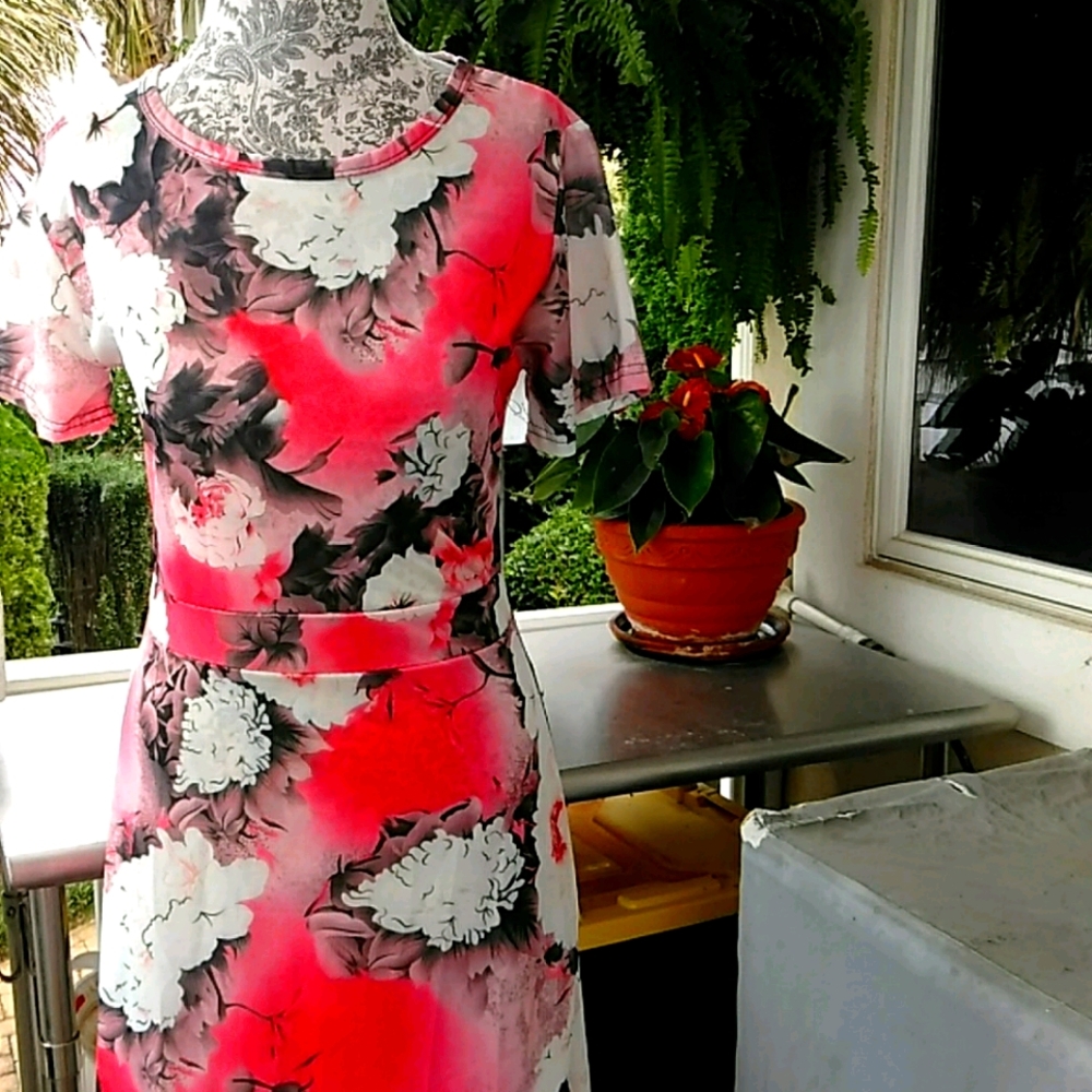 Women's dress, small. Fitted short sleeve A-line